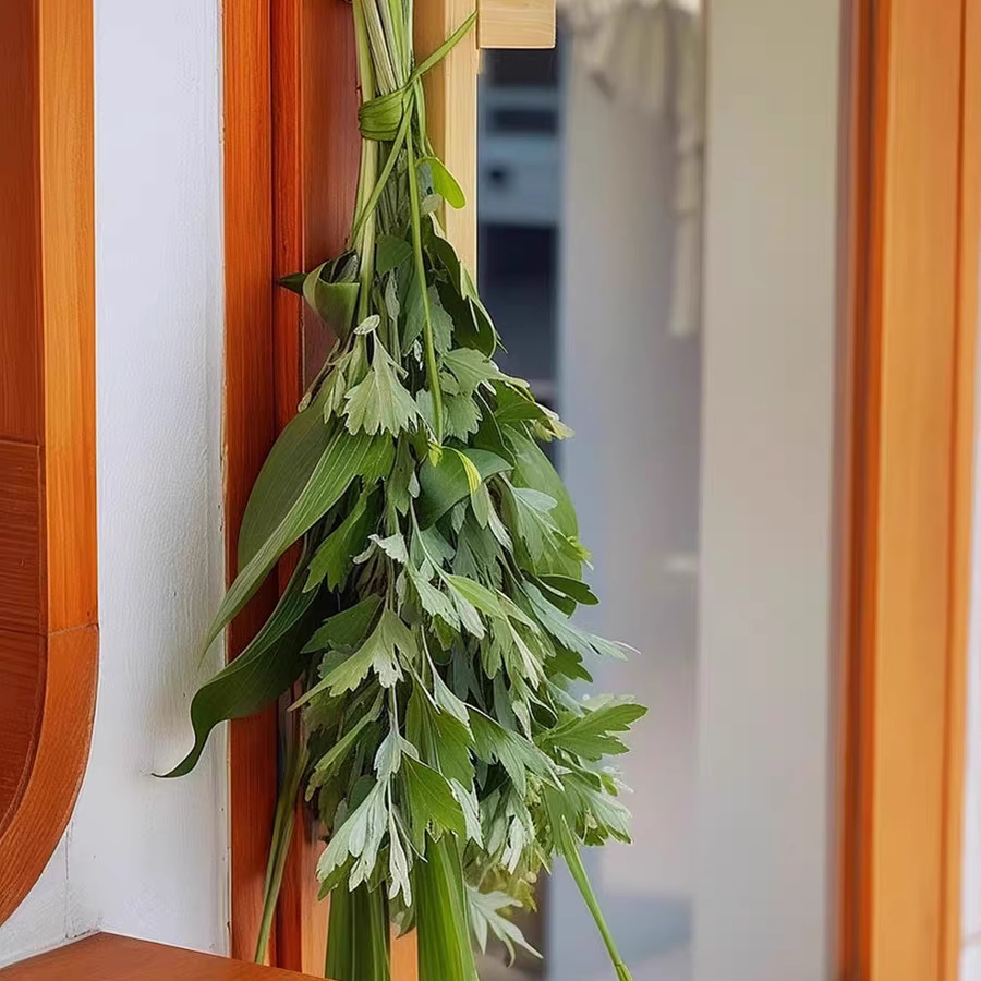 端午安康【3枝艾叶+2枝菖蒲】