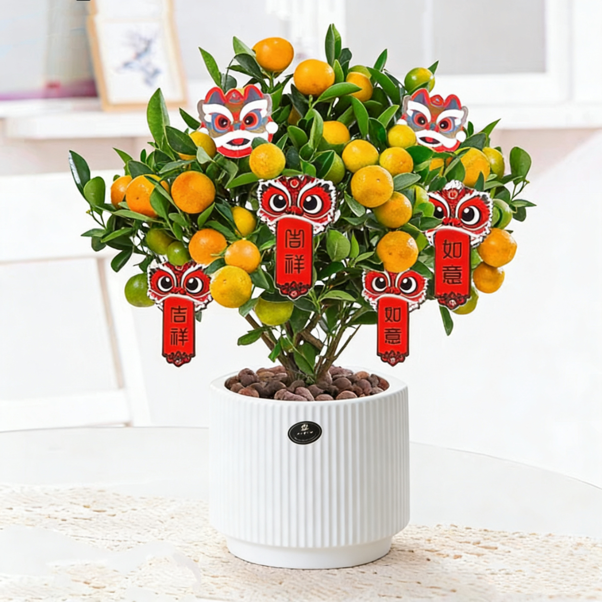 【万事大桔】小金橘树桌面金桔盆
