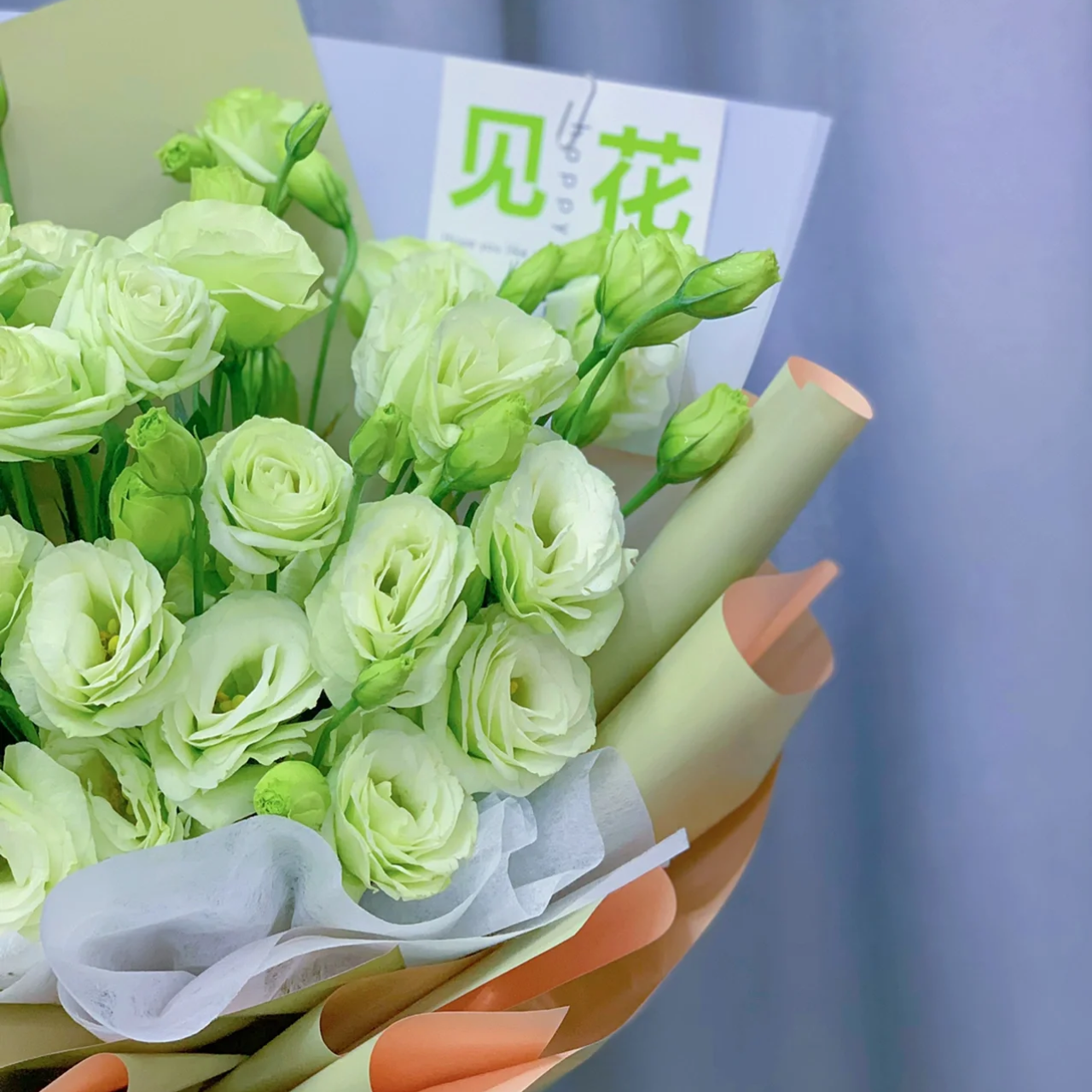 心爱的你/绿色洋桔梗花束