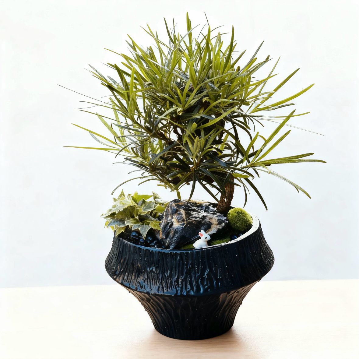 日本罗汉松盆景造型松树室内盆栽