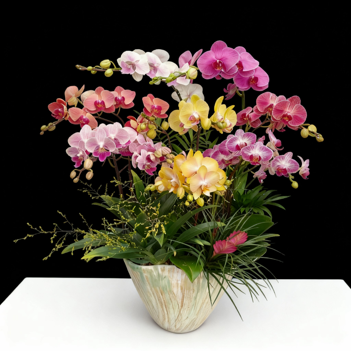 彩色蝴蝶兰混搭 1512-2 