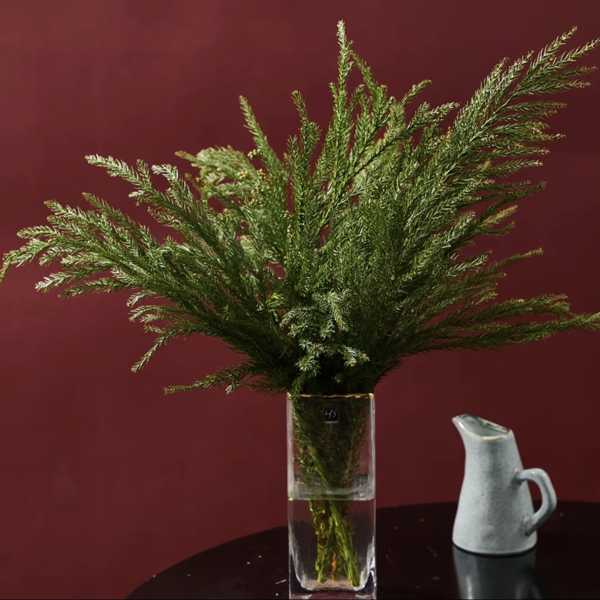 天竺少女松枝1扎3-5枝圣诞叶子柳杉鲜切枝花期长室内歪脖子圣诞树圣诞花环