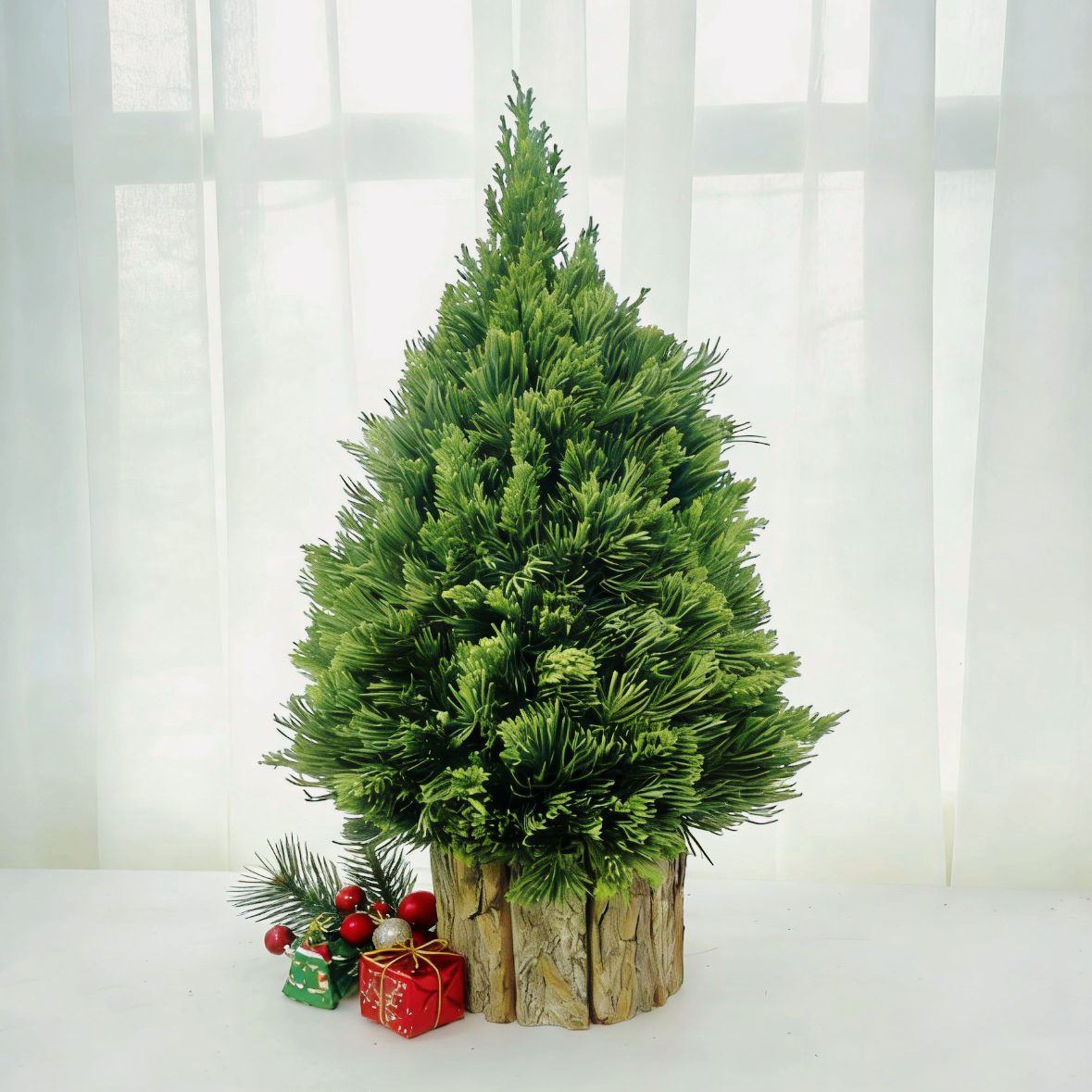 圣诞树-桧柏塔柏 国产圣诞树