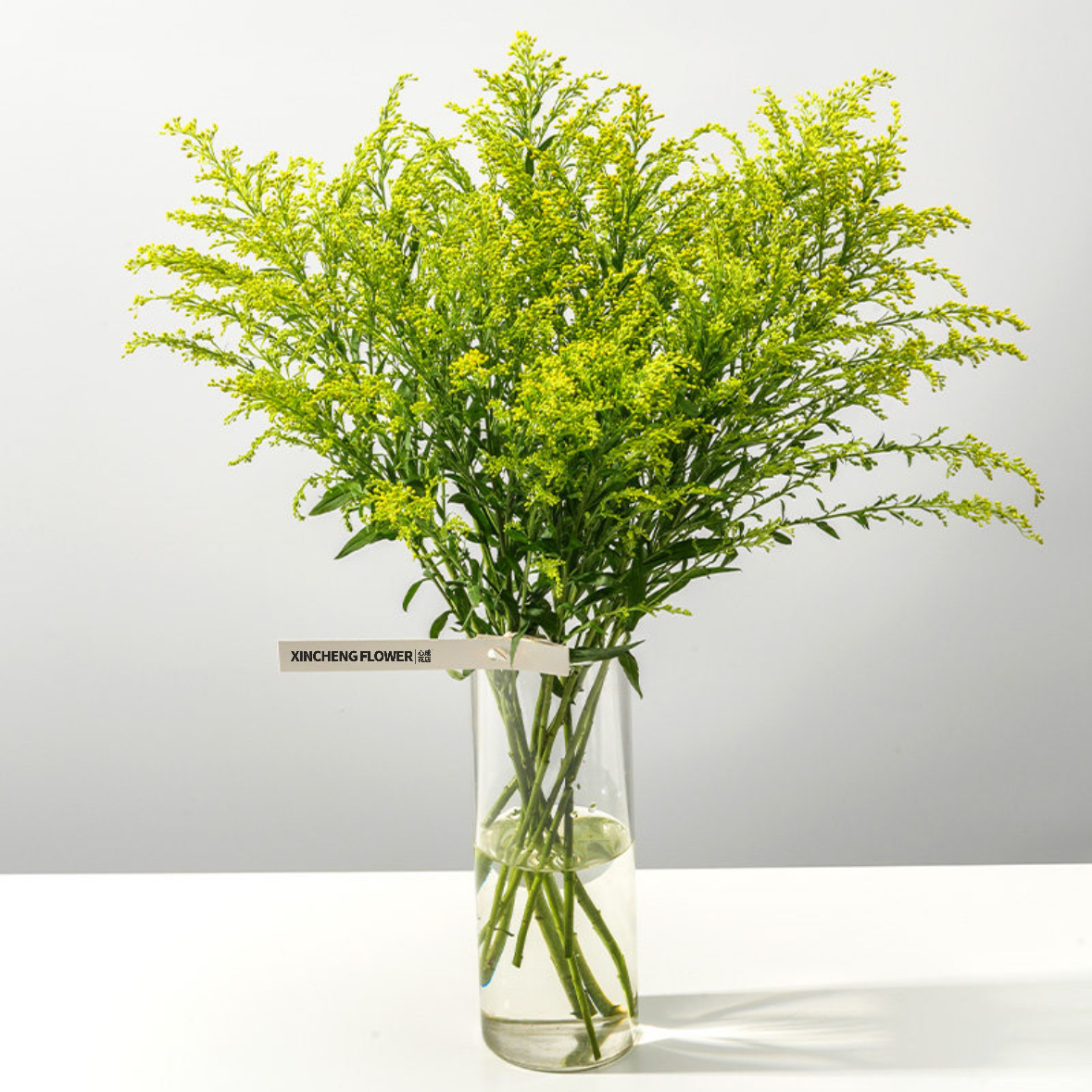 黄英 鲜切花 1扎8-10枝 黄莺 黄樱 家庭生活鲜花