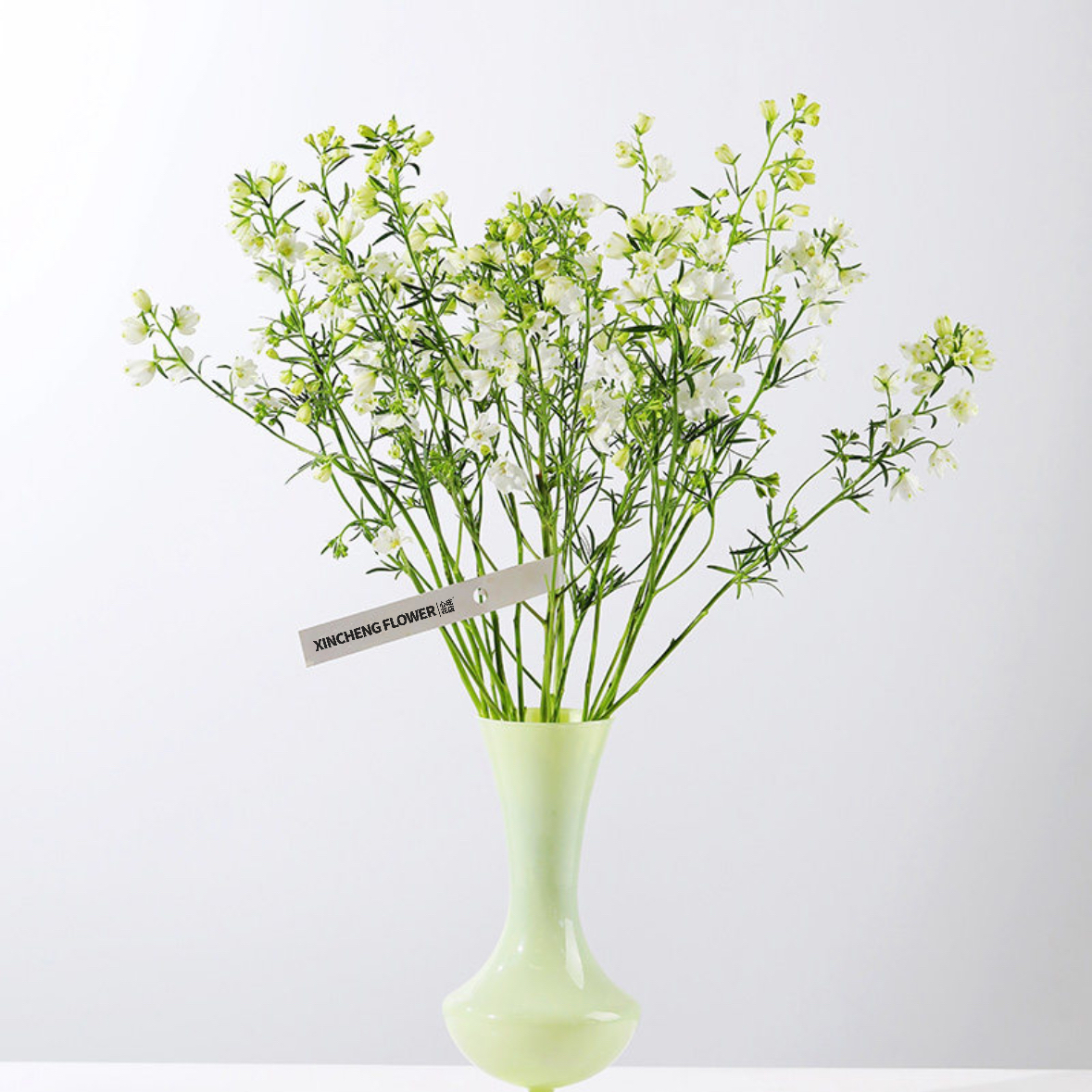 白色小飞燕 1扎 家庭生活鲜花