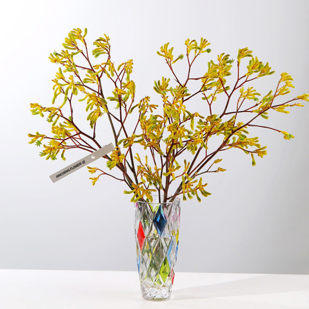 黄色袋鼠爪 袋鼠花 1扎4-5