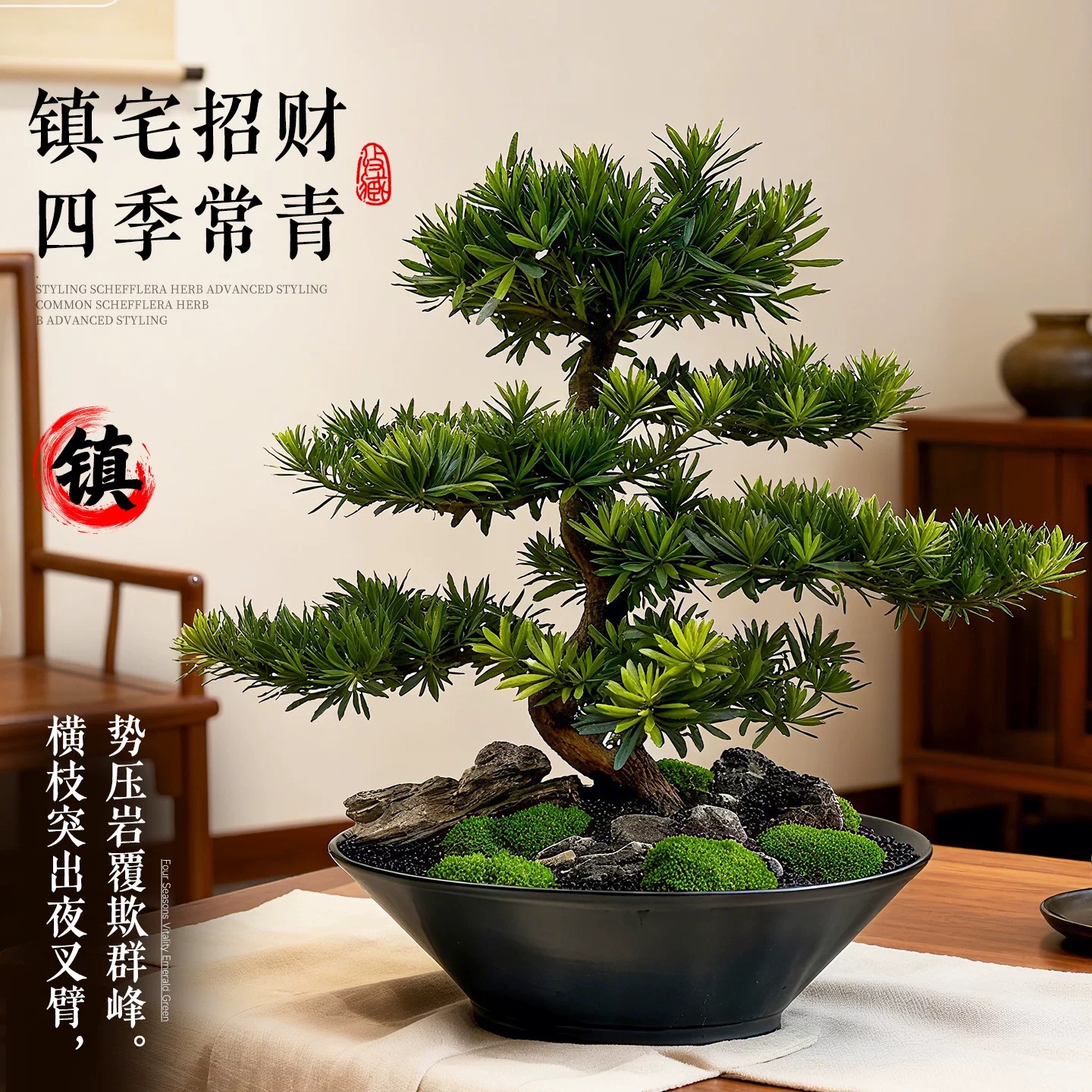 罗汉松盆栽小叶雀舌罗汉松绿植花