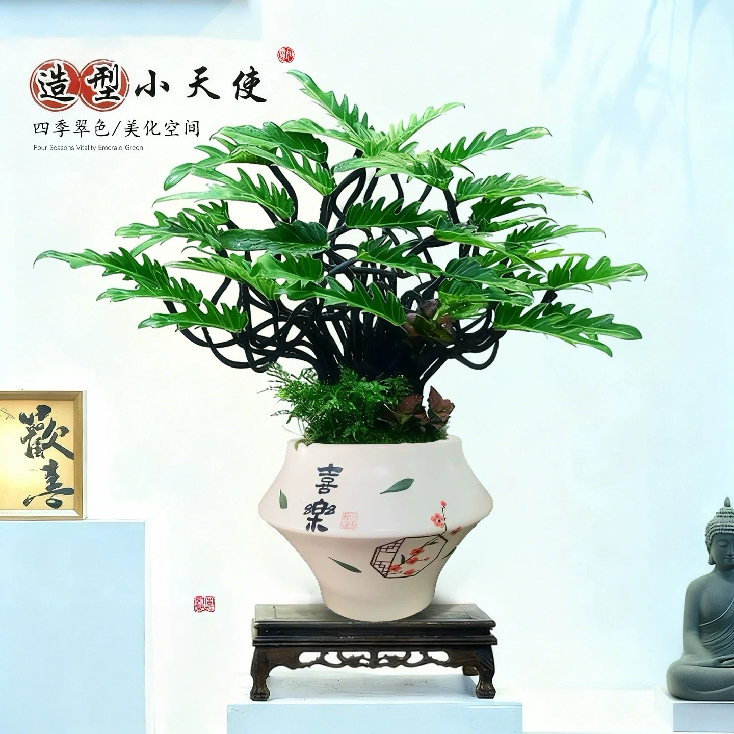 造型小天使组合盆栽室内桌面大绿