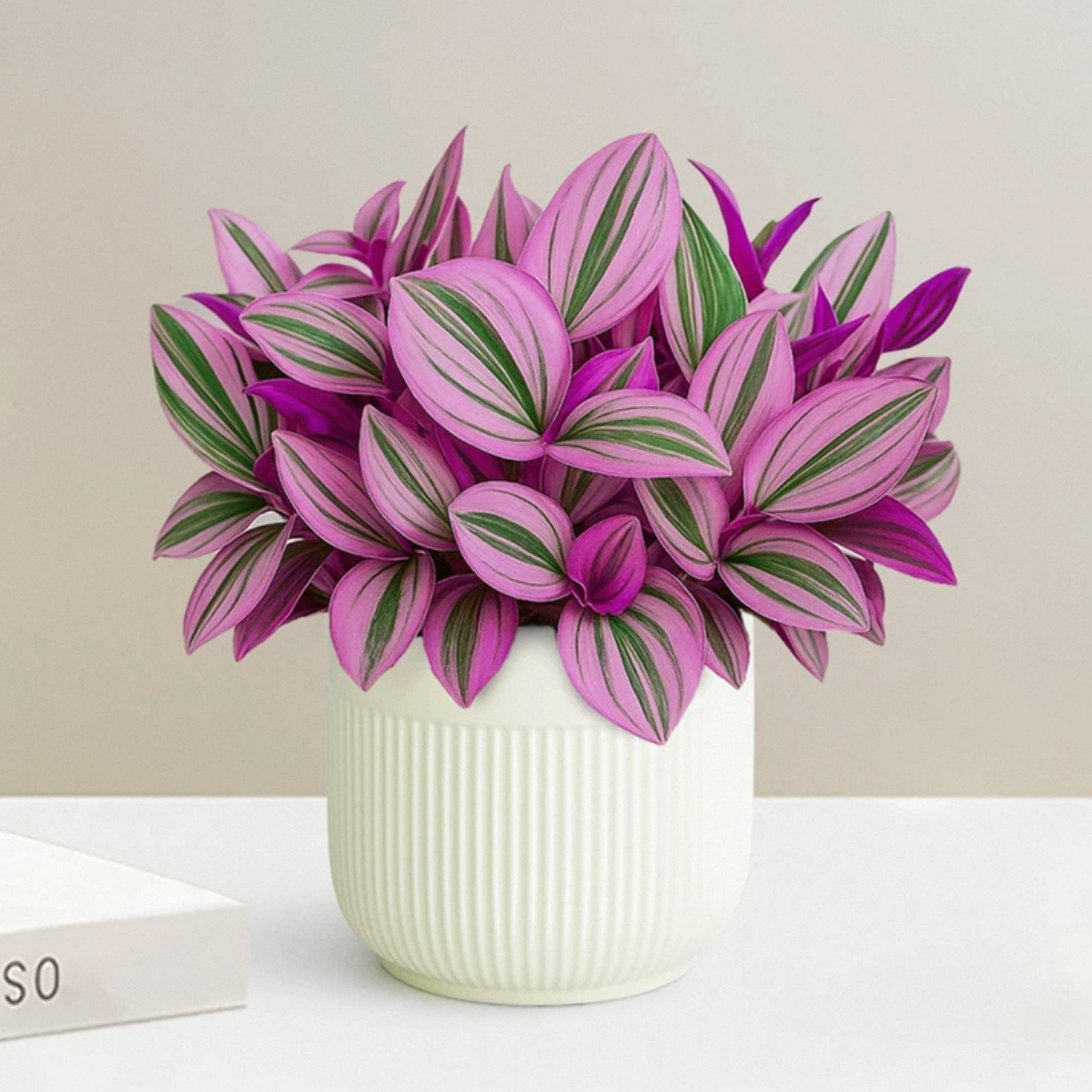 油画婚礼 风景油画 进口绿植 网红植物