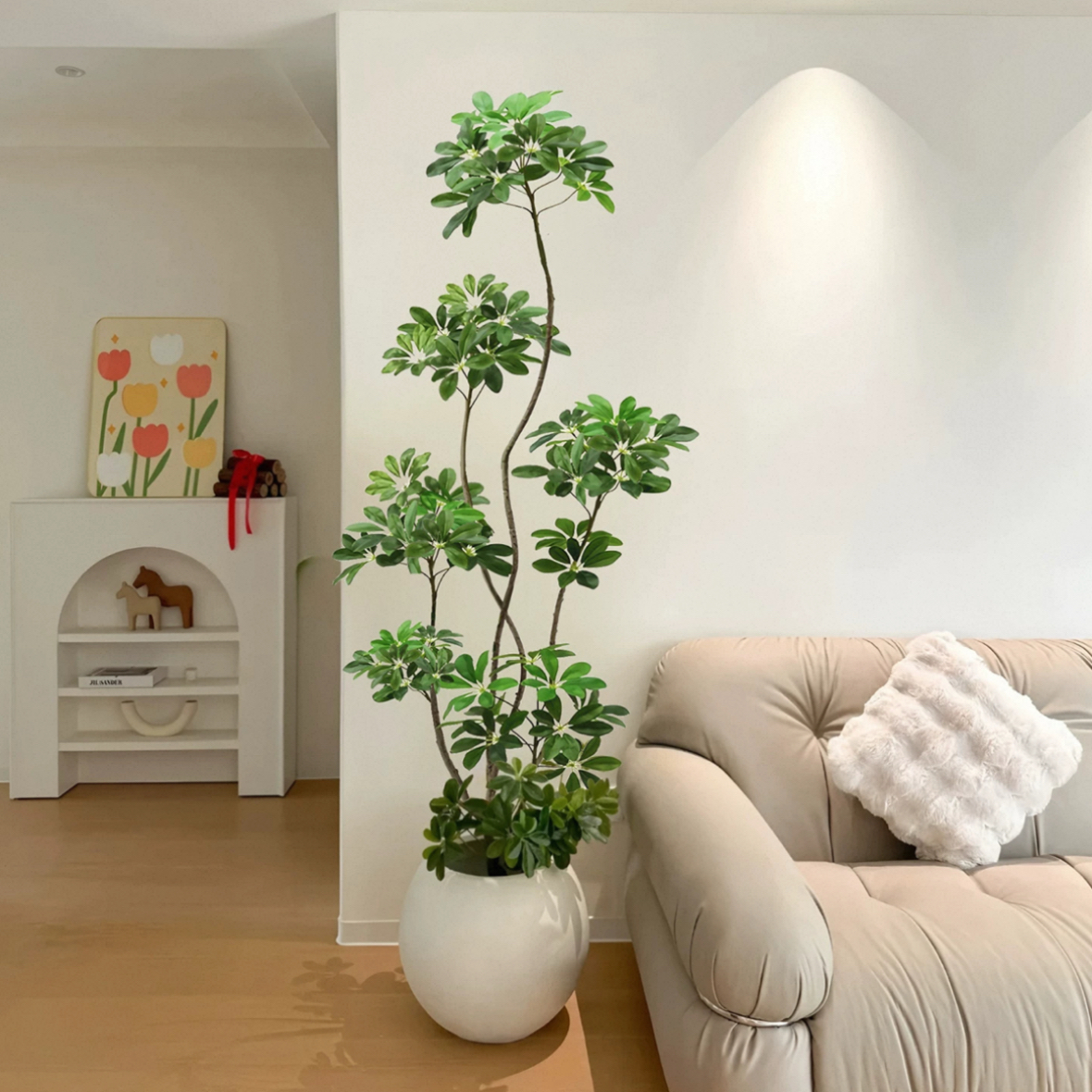 网红鸭脚木客厅绿植高级感八方来