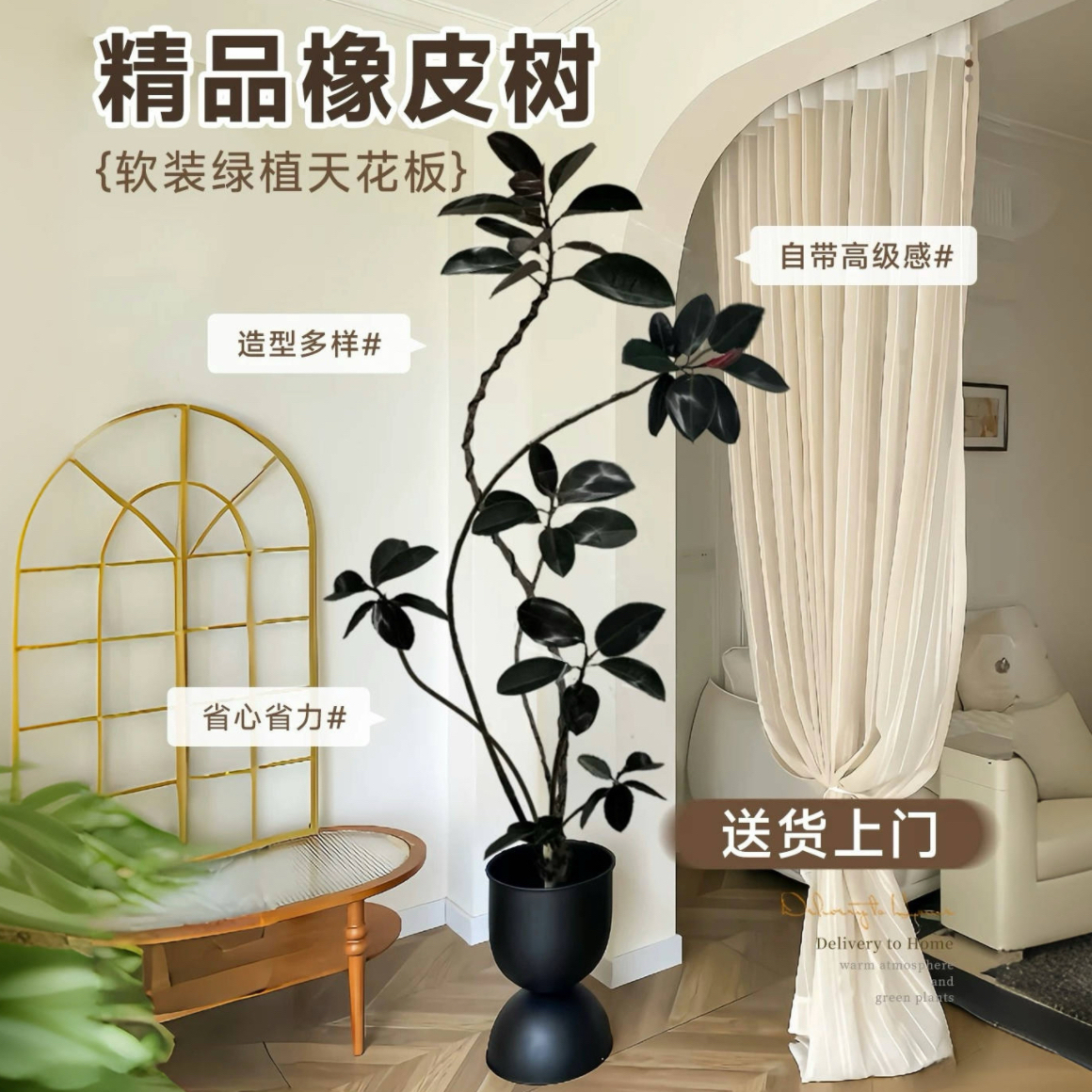 网红黑金刚橡皮树客厅大盆栽室内