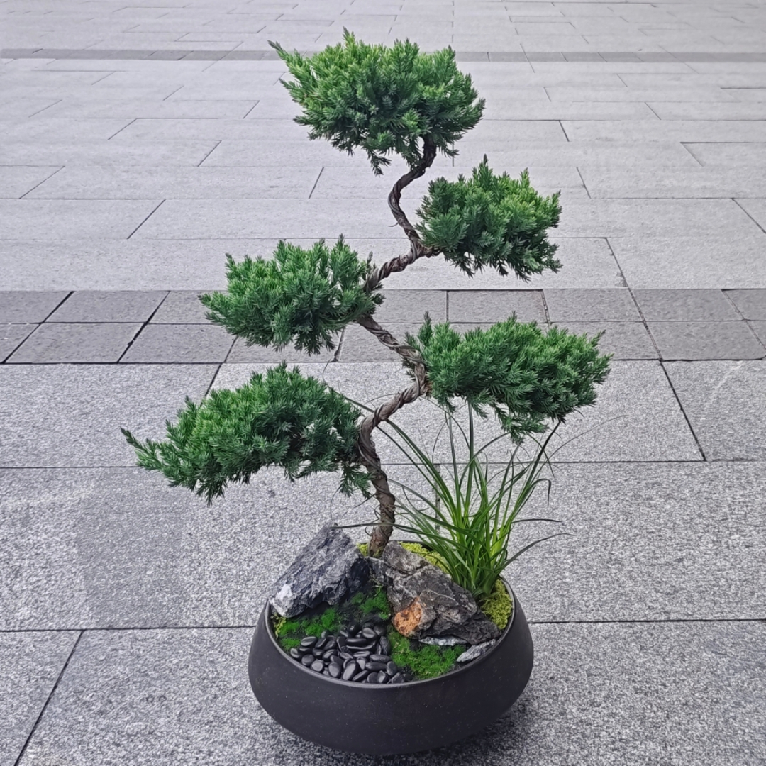 五层塔松盆栽造型盆景植物室内茶