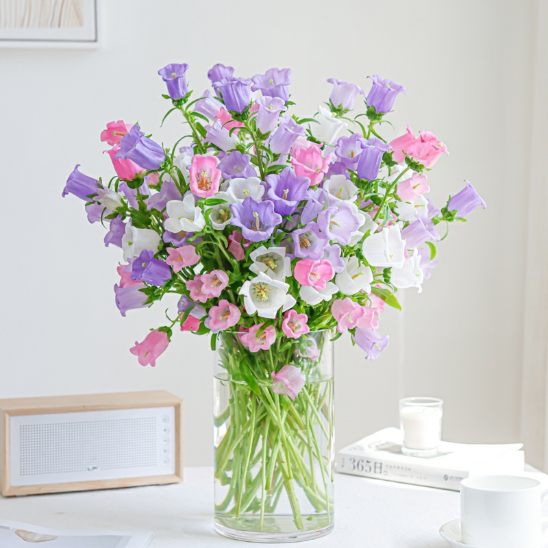 紫色风铃花 鲜切花 1扎